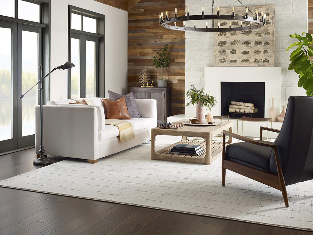 cohesive room in modern style featuring hard surface wood-look flooring and contrasting white area rug