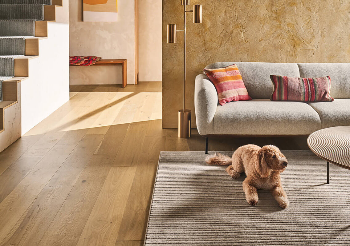 dog laying on textured rug in minimalist space designed with neutral colors